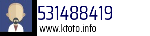 531488419
