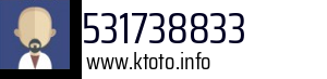 531738833