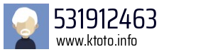 531912463