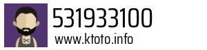 531933100