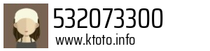 532073300