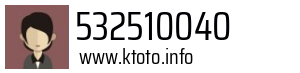 532510040