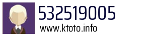 532519005