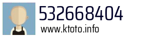 532668404