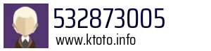 532873005