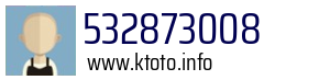 532873008