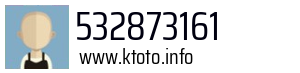 532873161