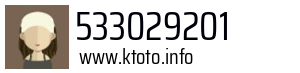 533029201