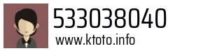 533038040