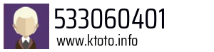 533060401