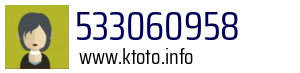 533060958