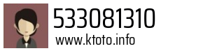 533081310