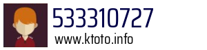 533310727