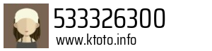 533326300