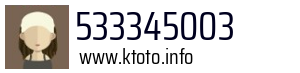 533345003