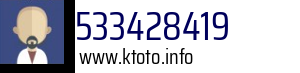 533428419