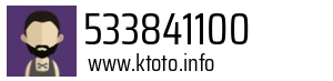 533841100