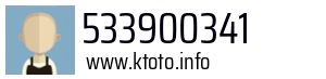 533900341