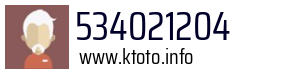 534021204