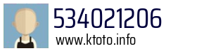 534021206