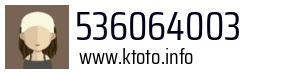 536064003