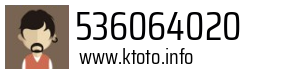 536064020