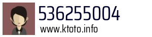 536255004