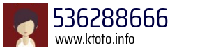 536288666