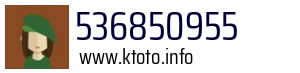536850955