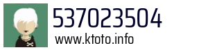 537023504