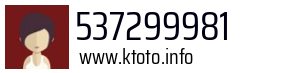 537299981