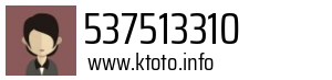537513310