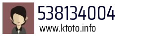 538134004