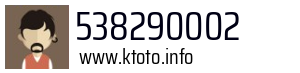 538290002