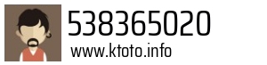 538365020