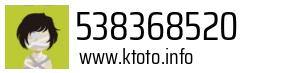 538368520