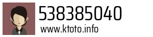 538385040
