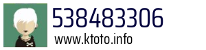 538483306