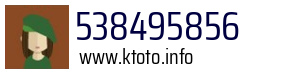 538495856