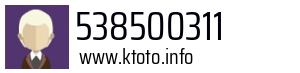 538500311