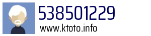 538501229
