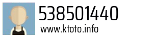 538501440