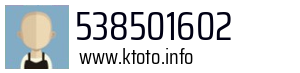538501602
