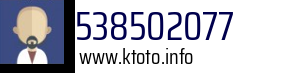 538502077