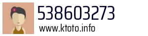538603273