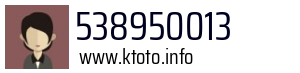 538950013
