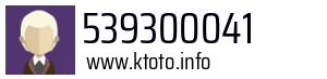 539300041