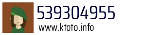 539304955