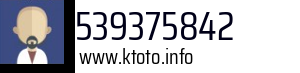 539375842
