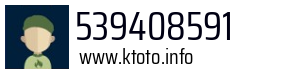 539408591